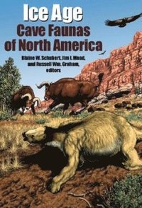 bokomslag Ice Age Cave Faunas of North America
