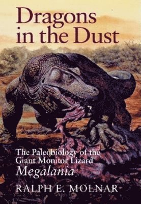 Dragons in the Dust