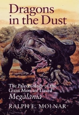 Dragons in the Dust 1