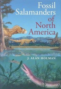bokomslag Fossil Salamanders of North America