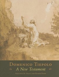 bokomslag Domenico Tiepolo
