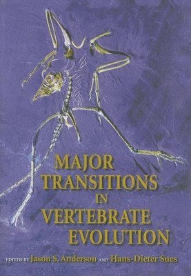 bokomslag Major Transitions in Vertebrate Evolution