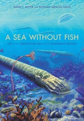 A Sea without Fish 1