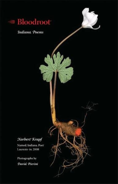 Norbert Krapf - Bloodroot, Häftad