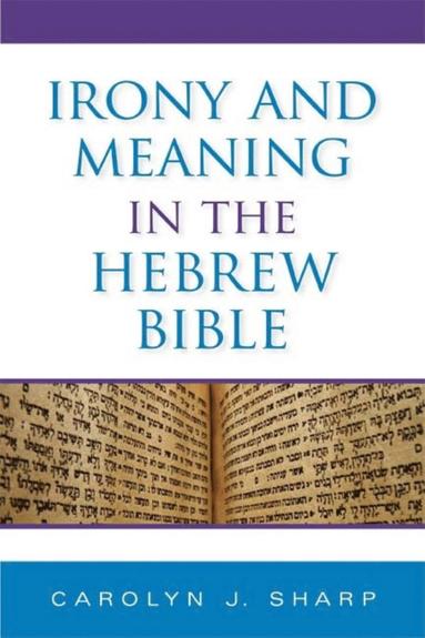 bokomslag Irony and Meaning in the Hebrew Bible