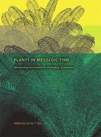 bokomslag Plants in Mesozoic Time