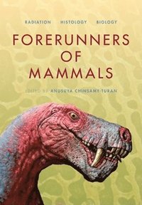 bokomslag Forerunners of Mammals