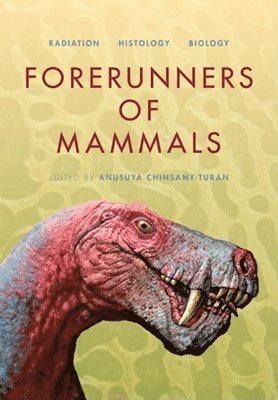 Forerunners of Mammals 1