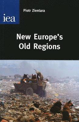 bokomslag New Europe's Old Regions