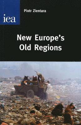 bokomslag New Europe's Old Regions