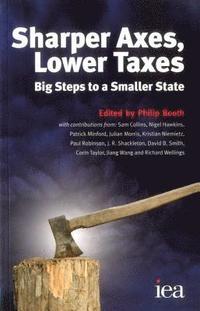 bokomslag Sharper Axes, Lower Taxes