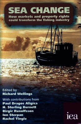 Richard Wellings - Sea Change, Häftad