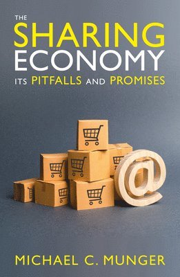 bokomslag Sharing Economy