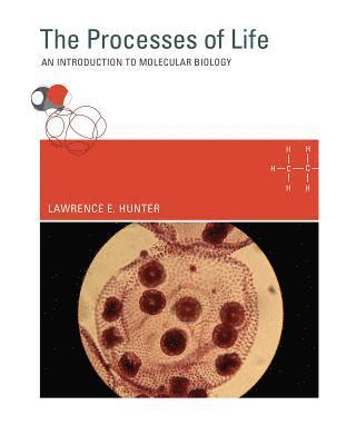 bokomslag Processes of Life