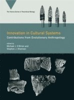 Innovation in Cultural Systems 1