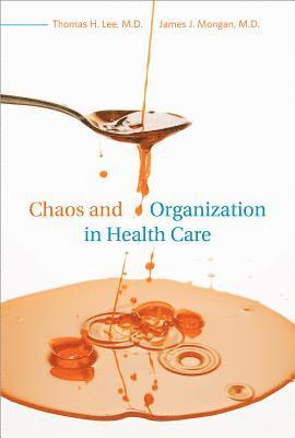 bokomslag Chaos and Organization in Health Care