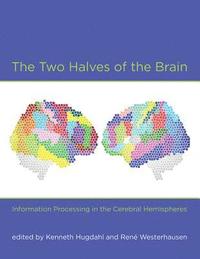 bokomslag The Two Halves of the Brain