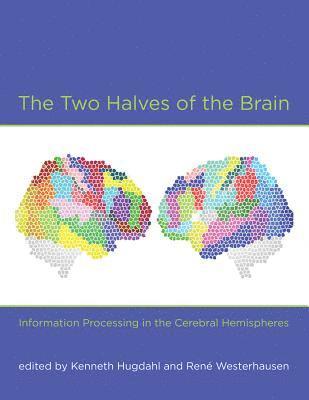 The Two Halves of the Brain 1