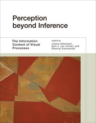 Perception beyond Inference 1