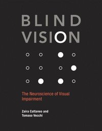 bokomslag Blind Vision