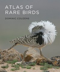 bokomslag Couzens, D: Atlas of Rare Birds