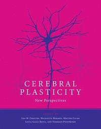 bokomslag Cerebral Plasticity