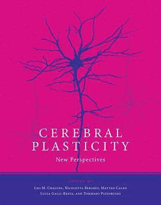 bokomslag Cerebral Plasticity