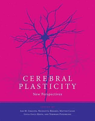 Cerebral Plasticity 1