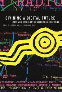 bokomslag Divining a Digital Future
