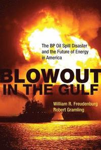 bokomslag Blowout in the Gulf