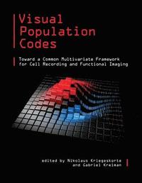 bokomslag Visual Population Codes