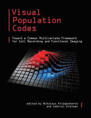 Nikolaus Kriegeskorte, Gabriel Kreiman - Visual Population Codes, Inbunden