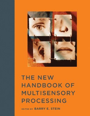 bokomslag The New Handbook of Multisensory Processing