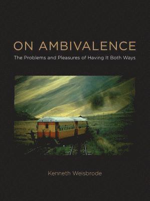 bokomslag On Ambivalence