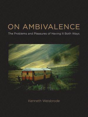 Kenneth Weisbrode - On Ambivalence, Inbunden