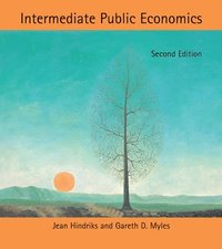 bokomslag Intermediate public economics