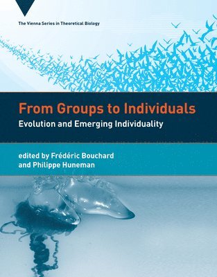 bokomslag From Groups to Individuals