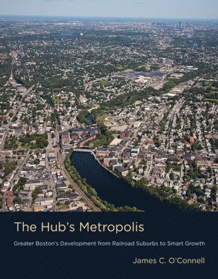 bokomslag The Hub's Metropolis