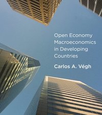 bokomslag Open Economy Macroeconomics in Developing Countries