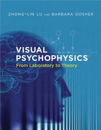 bokomslag Visual Psychophysics