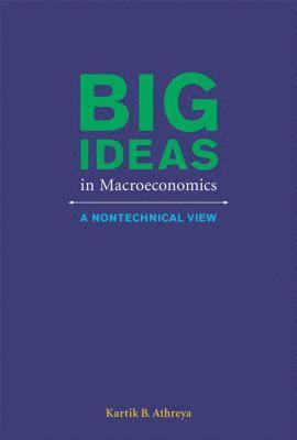 bokomslag Big Ideas in Macroeconomics