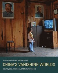 bokomslag China's Vanishing Worlds