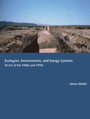 Ecologies, Environments, and Energy Systems in Art of the 1960s and 1970s 1