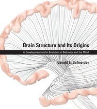 bokomslag Brain Structure and Its Origins