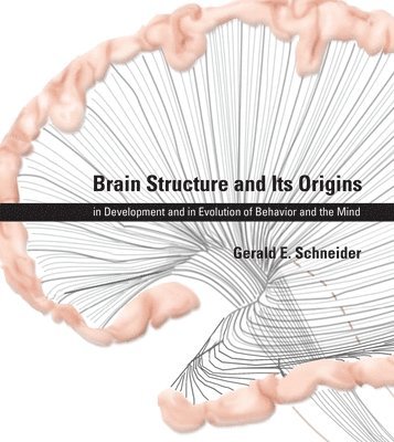 bokomslag Brain Structure and Its Origins
