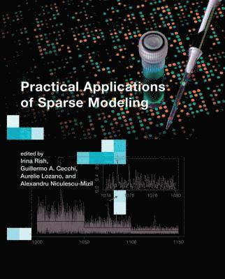 Irina Rish, Guillermo A. Cecchi, Aurelie Lozano, Alexandru Niculescu-Mizil - Practical Applications of Sparse Modeling, Inbunden