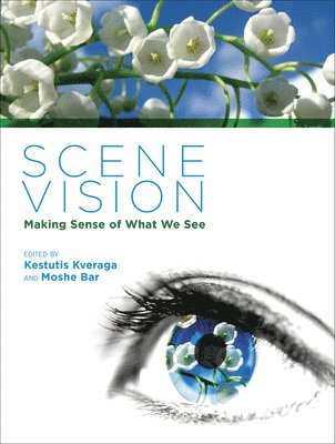 Scene Vision 1
