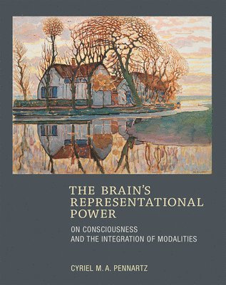 The Brain's Representational Power 1