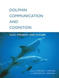 bokomslag Dolphin Communication and Cognition