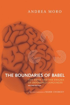 bokomslag The Boundaries of Babel